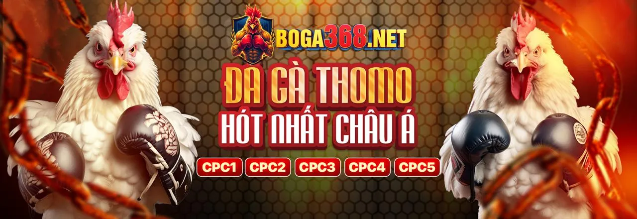 Tham gia chương trình VIP ngay